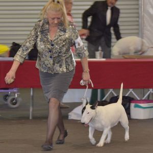 Meet your Posher, Catherine